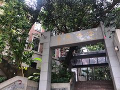 -香港大学