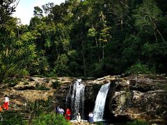 -海南热带雨林国家公园吊罗山景区
