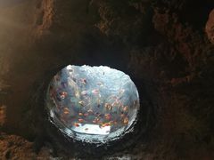 -珠海长隆海洋王国