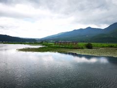 -腾冲北海湿地