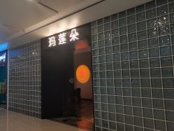 点击看大图 -玛莲朵·海菲秀冰珀科