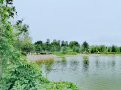 -通辽森林公园