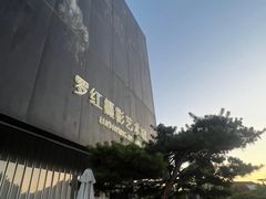 -罗红摄影艺术馆