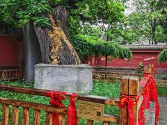 -天宁寺