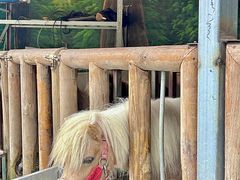 -云栖山谷野奢营地