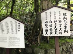 -野宫神社