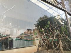 -灵玲国际马戏城