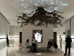 -扎耶德国家博物馆