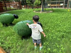 -中国扬子鳄村