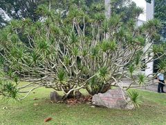 -中国科学院西双版纳热带植物园