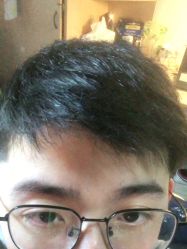 -镁连社·美联社