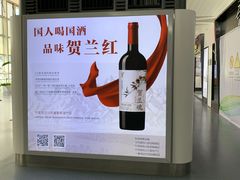 -银川河东国际机场