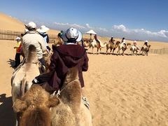 -银肯塔拉沙漠生态旅游景区