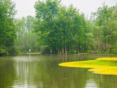 -桤木河湿地公园