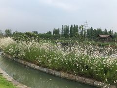 -乌村