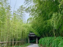 -苏州环秀晓筑养生度假村