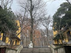 -灵谷景区