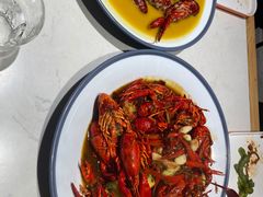 -杨氏青龙虾·羊蝎子(托乐嘉店)