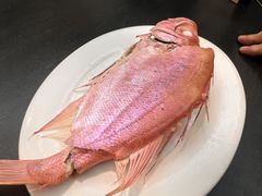 -吴记富苑(朝阳店)