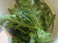 -蒙都43°9羊火锅·赤峰美食(宁城店)