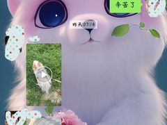 -美联众合动物医院·24h京西诊疗中心