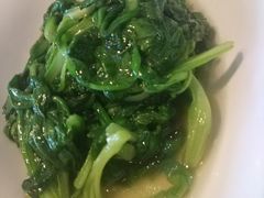 -菩提树·素食餐厅(汇智国际商业中心店)