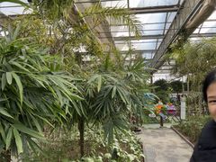 -南宫五洲植物乐园