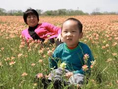 -少华山国家森林公园