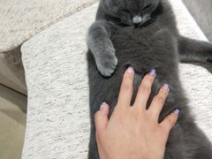 -藏猫猫咖啡主题馆(中央大道店)