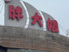 -胖大姐黄辣丁鱼庄(新津店)