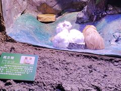 -郑州海洋馆