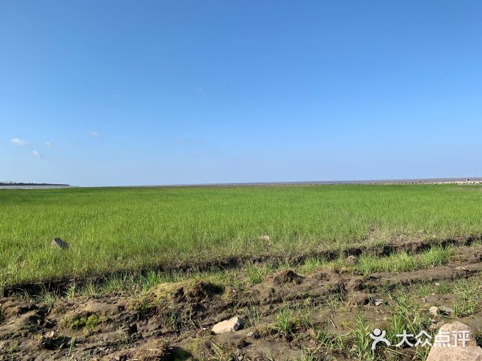 南汇嘴观海公园图片