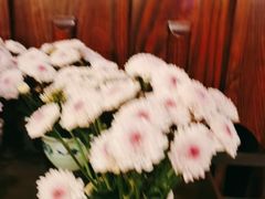 -广州花园酒店荔湾亭·地道点心·粤式饮茶