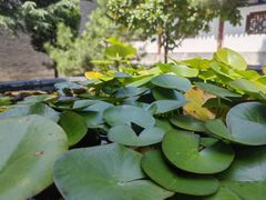 -兴教寺