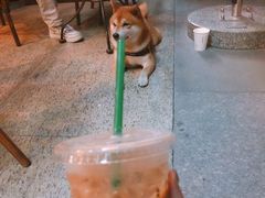 -星巴克(石厦街店)