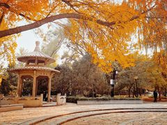 -玲珑塔公园