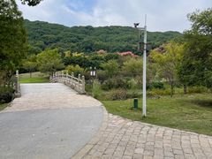 -苏州上方山国家森林公园