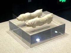 -亳州博物馆