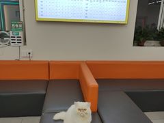 -全心全意动物诊疗中心医院(北苑店)