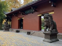-望江楼公园
