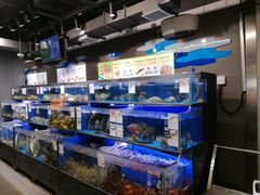 -盒马鲜生(双清路店)