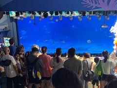 -烟台海昌鲸鲨海洋公园