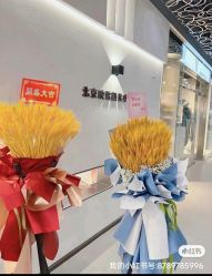 -幼泡泡连锁美容医疗