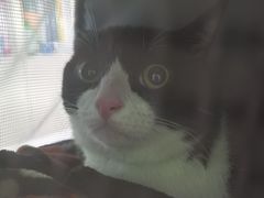 -圣宠动物医院·犬猫专科·影像中心·外科中心