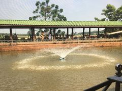 -侯臣咖啡文化村