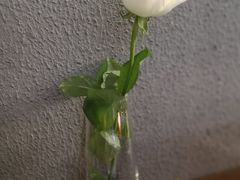 -1861意大利餐厅(文化广场店)