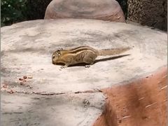 -洛阳白云山景区