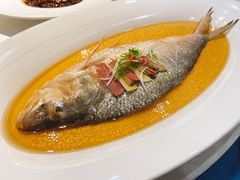 古法秘制蒸鲥鱼-麟1929(外滩店)
