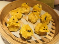 -点都德·毕德寮