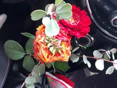 -首都师范大学(良乡校区)